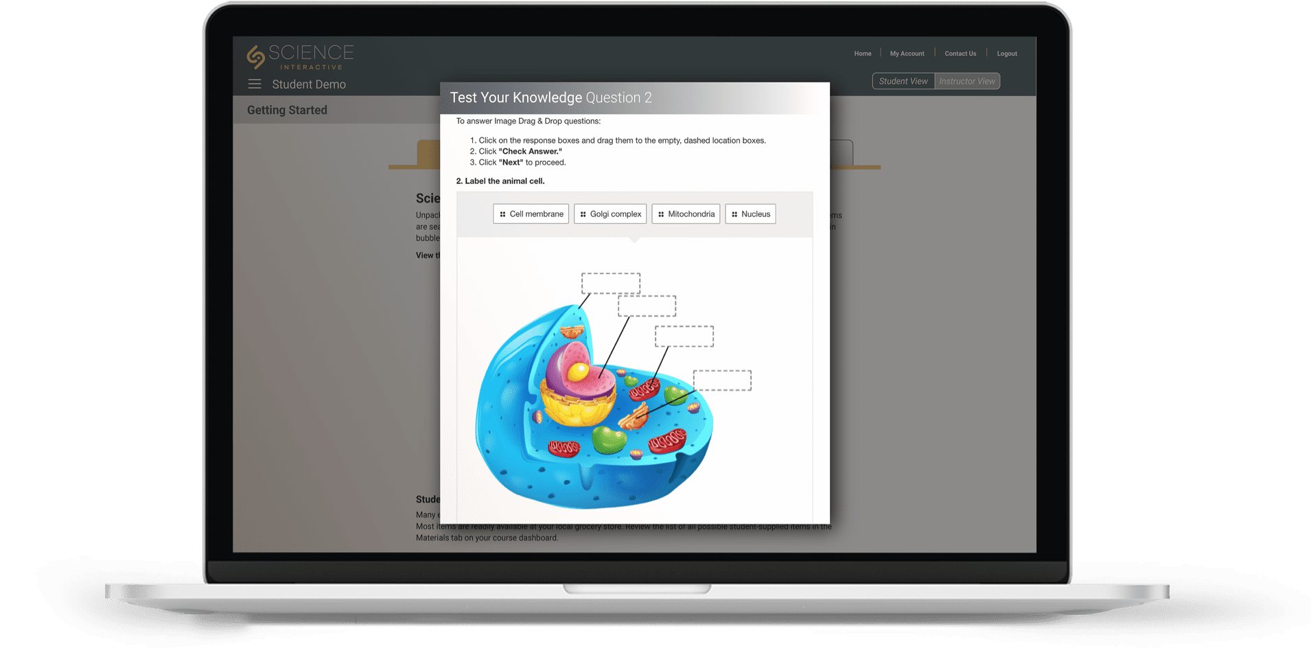 Online Curriculum