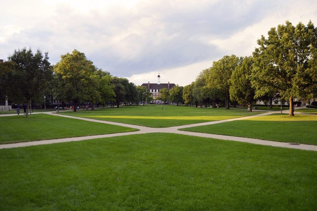 a grassy quad at a university