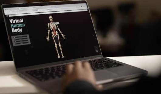 Image of computer screen with virtual human body