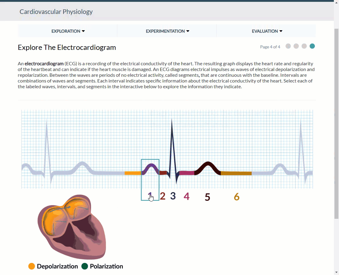 Cardiovascular Physiology Lab Includes