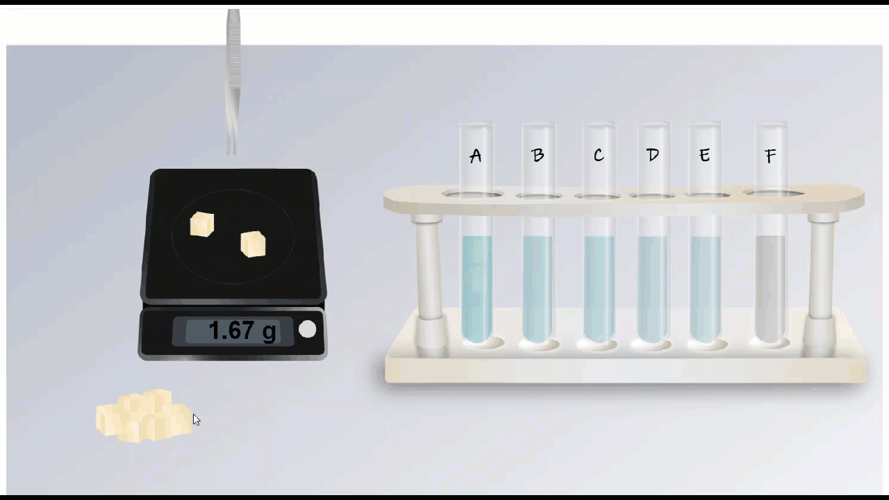 Cell Membrane Transport Lab Includes