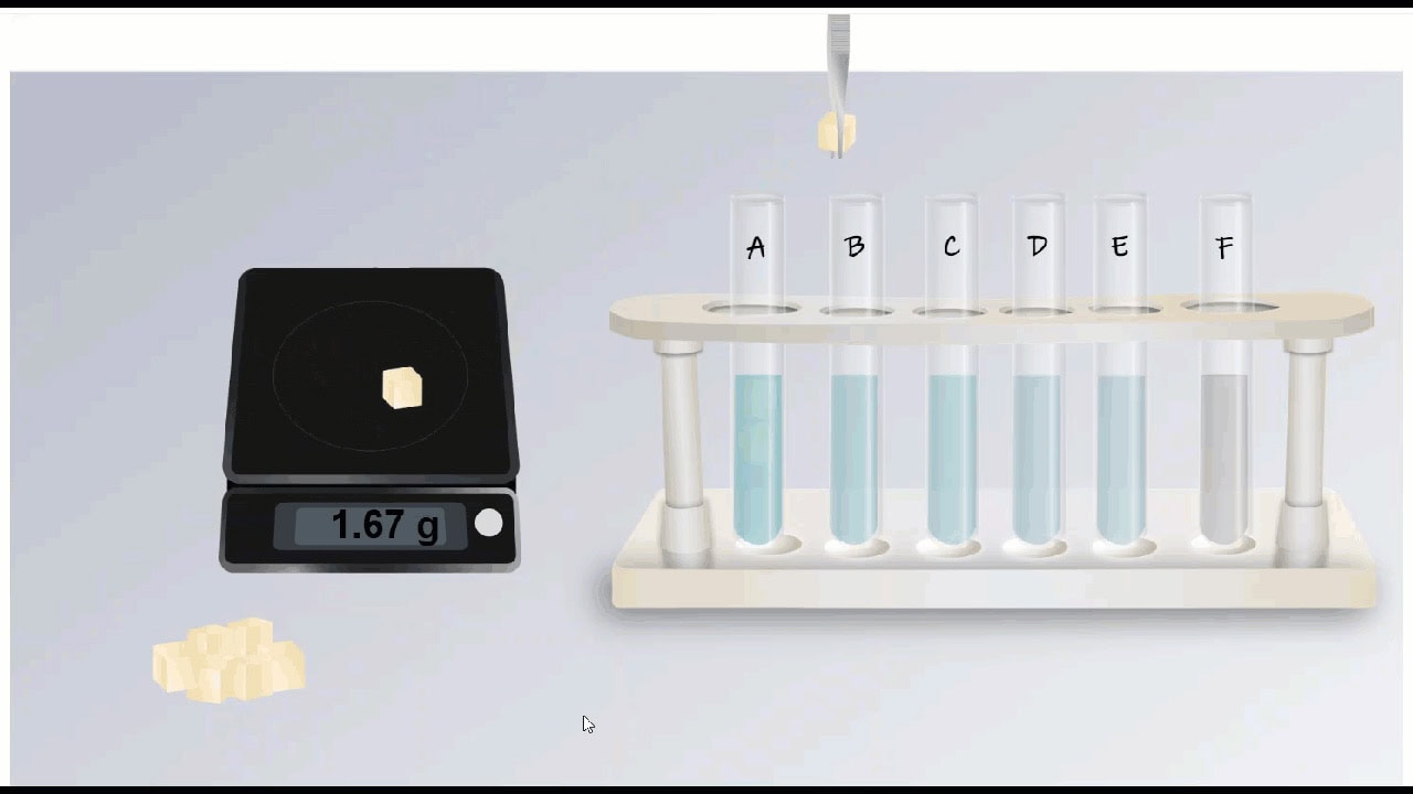 Hooke’s Law Lab Includes
