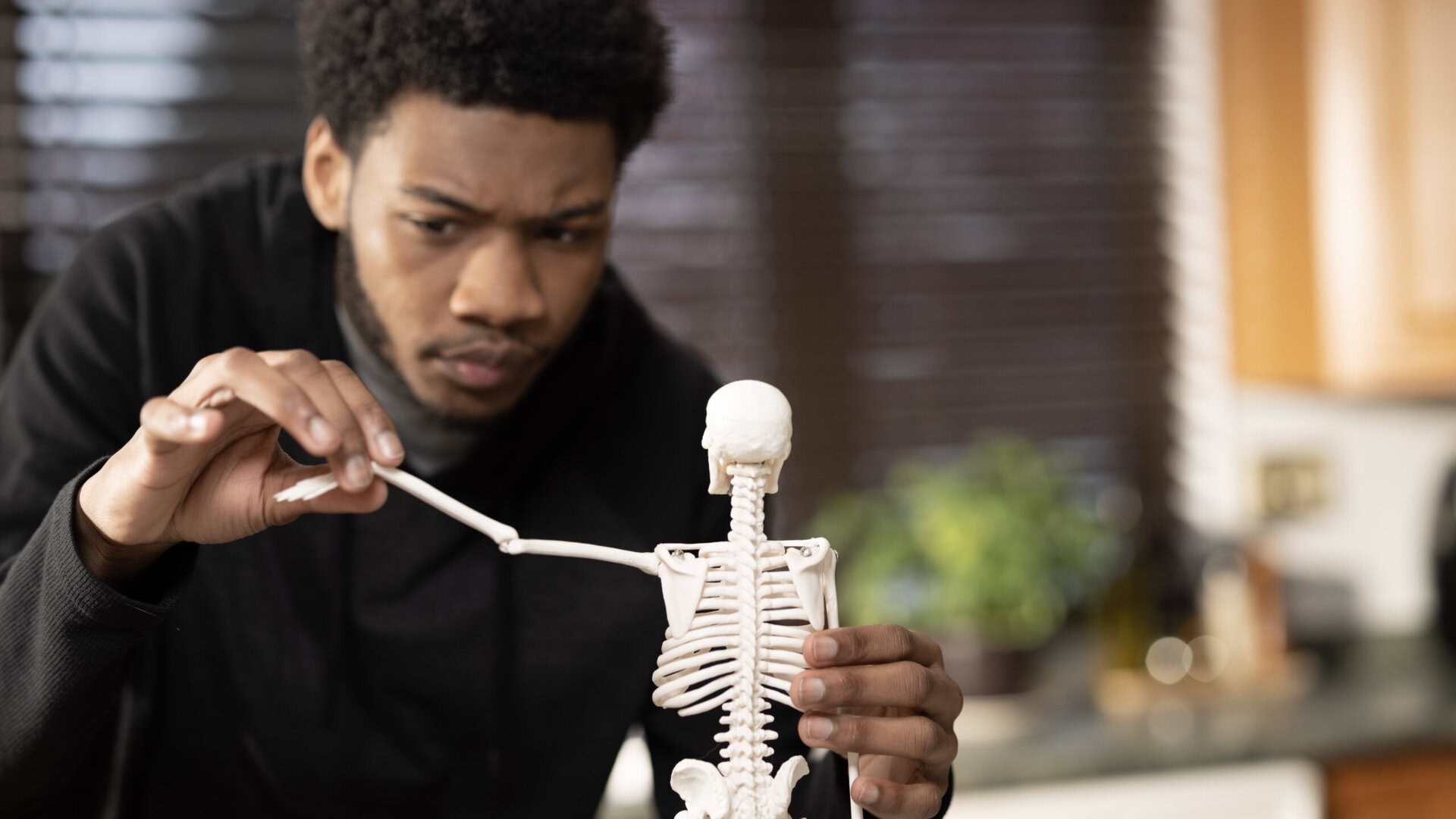 A&P Labs in Action: Bringing Urinalysis, Blood & Gross Anatomy of the Muscular System to Life Featured Image