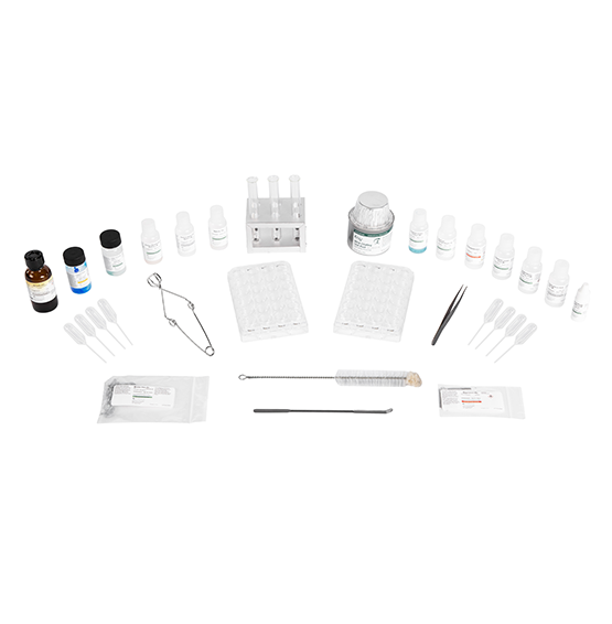 Anions, Cations, and Ionic Reactions Lab Preview Featured Image